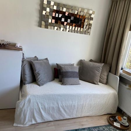 De Luxe Apartment, Wifi, Tv 65" 布拉格 外观 照片