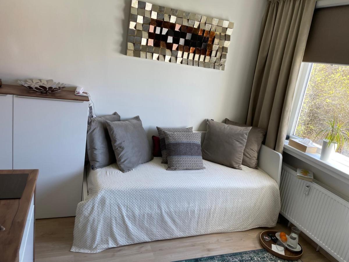 De Luxe Apartment, Wifi, Tv 65" 布拉格 外观 照片